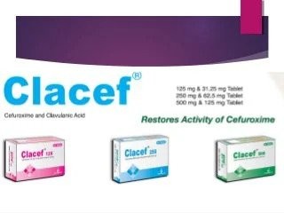 Clacef(125 mg+31.25 mg)