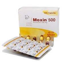 Moxin(500 mg/vial)