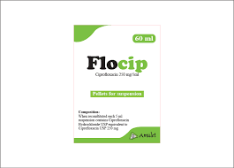 Flocip(500 mg)