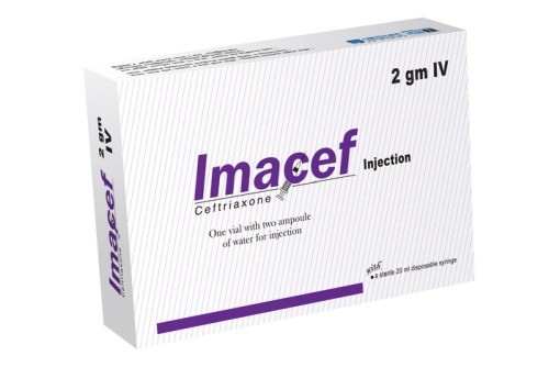 Imacef(2 gm/vial)
