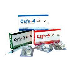 Cefa-4(1 gm/vial)