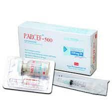 Parcef(500 mg/vial)