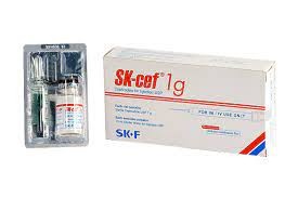 SK-cef(500 mg/vial)