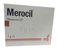 Merocil(1 gm/vial)