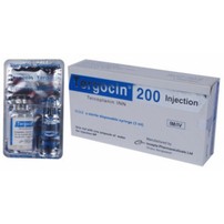 Tergocin(200 mg/vial)