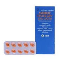 Andriol TestoCaps(40 mg)