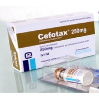 Cefotax(250 mg/5 ml)