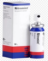 Nitromint(400 mcg/spray)