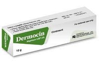 Dermocin(2% w/w)